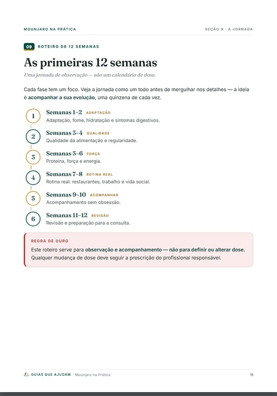 Página das 12 semanas